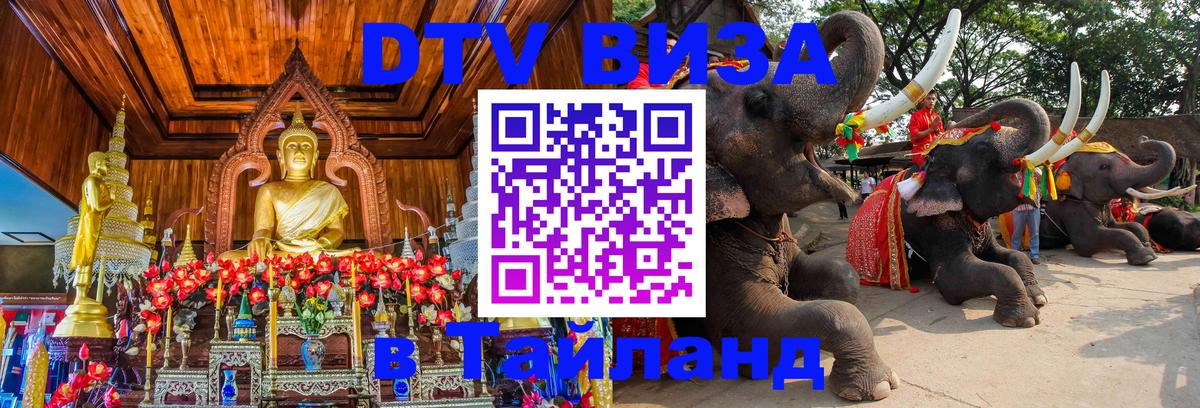 Оформление DTV визы под ключ: стоимость и тарифы, только загранпаспорт - 